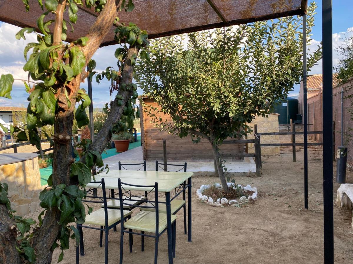 Alojamiento Rural Setenil Setenil De Las Bodegas Ngoại thất bức ảnh