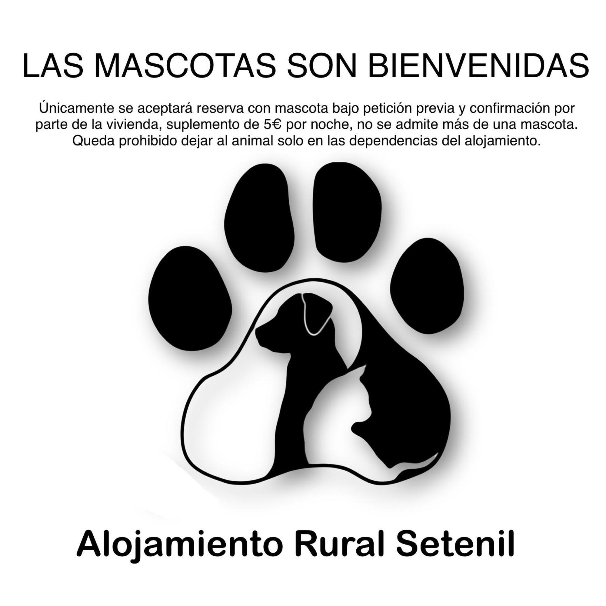 Alojamiento Rural Setenil Setenil De Las Bodegas Ngoại thất bức ảnh